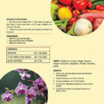 Amino Plus - Image 3