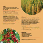 Bios Stimul- Pseudomonas Fluorescence - Image 3