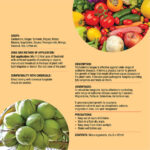 BioShield - Trichoderma Harzianum - Image 3