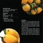 Biocalcium - Image 3