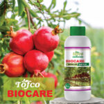 BioCare - Image 2