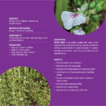 Cardamom Special - Image 3