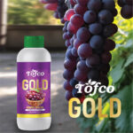 Grapes Special - Image 2