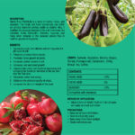 Humic Plus Premium - (Humic + Fulvic + Seaweed + Phytohormones) - Image 3