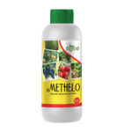 Methelo Drought Resisting Bacteria