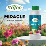 Miracle Promotes Flowering - Image 2