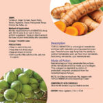 Nematos- Paecilomyces Lilcinus - Image 3