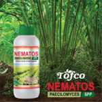 Nematos- Paecilomyces Lilcinus - Image 2