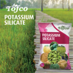 Potassium Silicate - Image 2