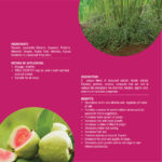 Well Booster - Image 3