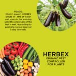 Herbex - Image 2