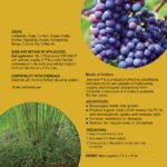 Jeevakh P – Phosphorus Solubilizer - Image 2