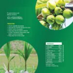 Nano Agro Care – For Repel Coconut Weevils - Image 2