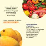 Neem Oil - Image 2