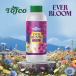 Tofco Ever Bloom - Image 2
