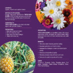 Tofco Ever Bloom - Image 3