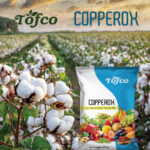 Copperrox - Chelated Copper - Image 2