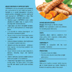 Copperrox - Chelated Copper - Image 3