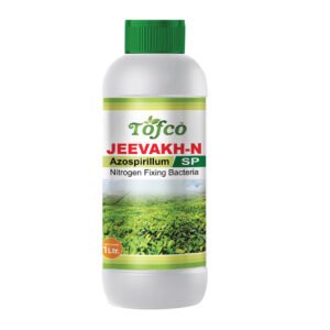 Jeevakh N – Azospirillum