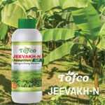 Jeevakh N – Azospirillum - Image 2