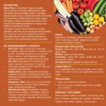 Microplus - Image 2