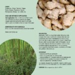 Soil Health - Image 2