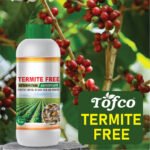 Termite Free - Image 3