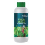 Vigor Shield