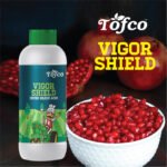 Vigor Shield - Image 3